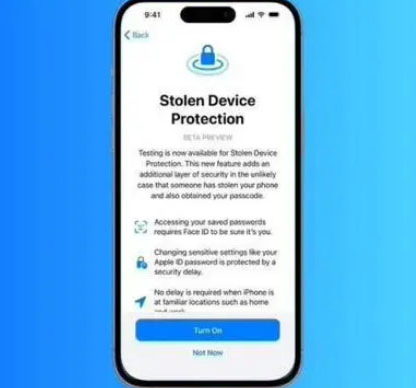 建湖苹果授权维修店分享被盗设备保护功能开启方法 