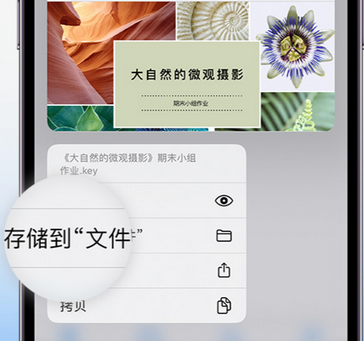 建湖apple维修中心分享iPhone文件应用中存储和找到下载文件