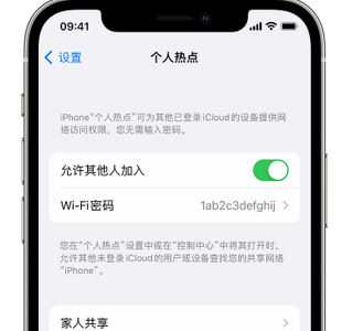 建湖apple服务站点分享iPhone上个人热点丢失了怎么办 