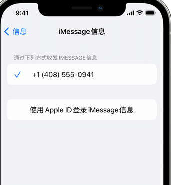 建湖apple维修iPhone上无法正常发送iMessage信息 