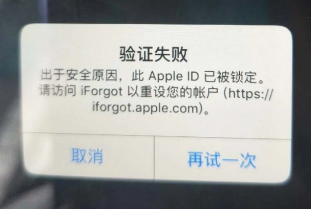 建湖iPhone维修分享iPhone上正常登录或使用AppleID怎么办 