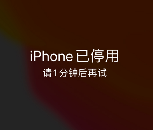 建湖苹果手机维修分享:iPhone 显示“不可用”或“已停用”怎么办？还能保留数据吗？ 