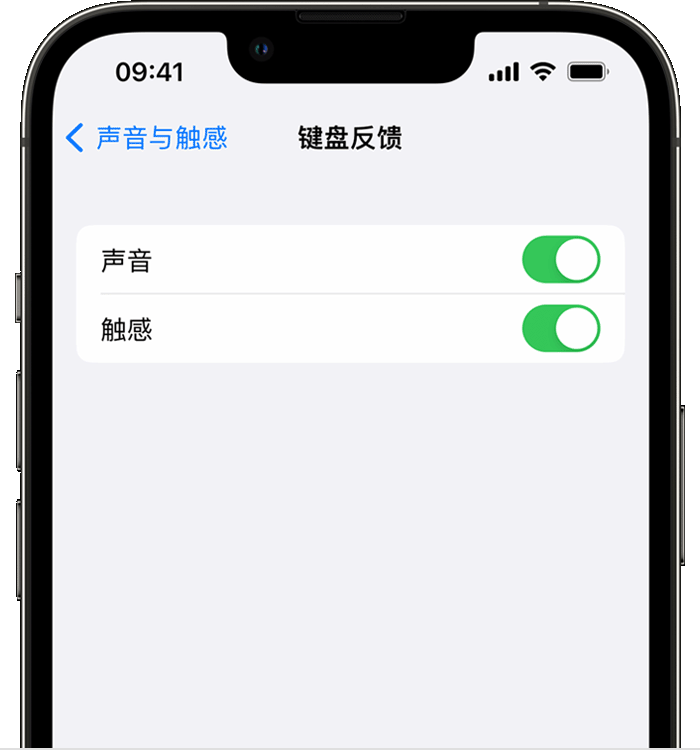 建湖苹果14维修店分享如何在 iPhone 14 机型中使用触感键盘 