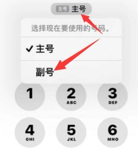 建湖苹果14维修店分享iPhone 14 Pro Max使用副卡打电话的方法 