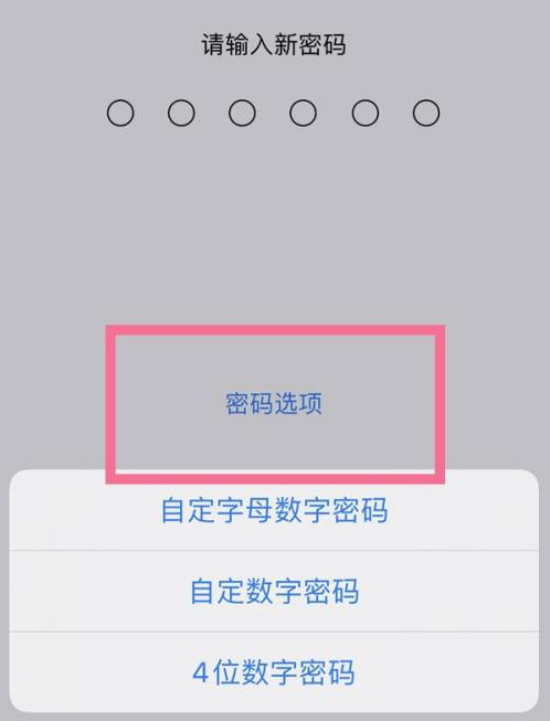 建湖苹果14维修分享iPhone 14plus设置密码的方法 