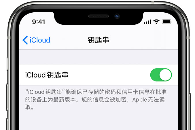 建湖苹果手机维修分享在 iPhone 上开启 iCloud 钥匙串之后会储存哪些信息 