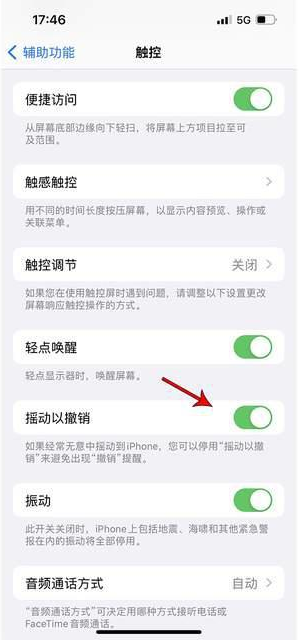 建湖苹果手机维修分享iPhone手机如何设置摇一摇删除文字 